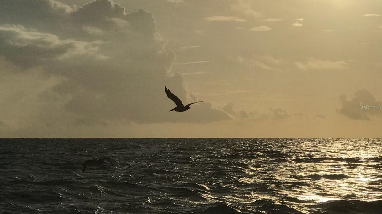 HARBOUR CLUB CONDO 2 - Residential