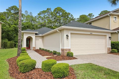Photo of 16066 Bella Woods Drive, Tampa, FL 33647 (MLS # TB8482542)