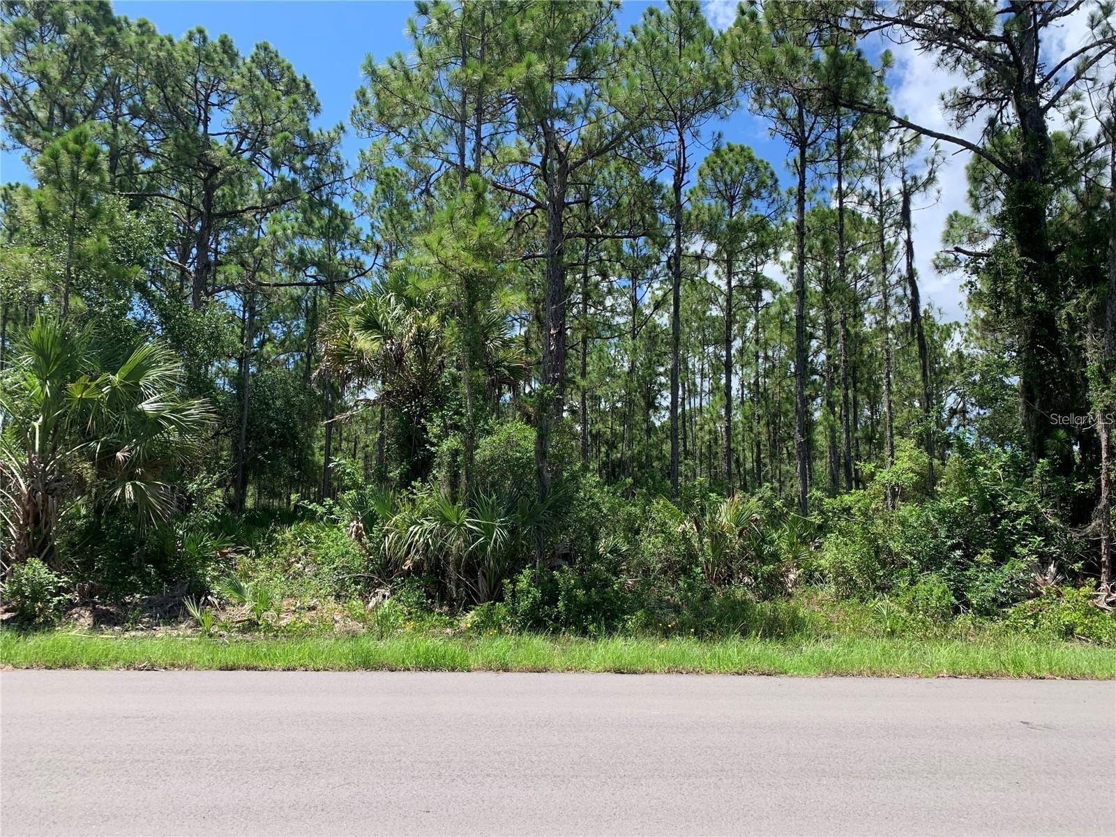 Discover your canvas for crafting your dream home in the vibrant community of Port Charlotte. Nestled amidst a serene natural setting, this vacant lot promises the perfect blend of tranquility and convenience. Imagine waking up to the gentle rustle of leaves and the songs of native birds, as the morning sun filters through the lush foliage surrounding your future abode. With ample space to sculpt your vision, this lot invites you to design a sanctuary tailored to your lifestyle and aspirations. Convenience is at your doorstep, with shopping, dining, and entertainment options just a stone's throw away. Whether you crave a culinary adventure, a leisurely stroll through boutiques, or an evening of entertainment, Port Charlotte caters to every whim. For outdoor enthusiasts, the possibilities are endless. Embark on Gulf beach escapades, where sugary sands and azure waters beckon for sun-soaked days of relaxation. Dive into thrilling fishing expeditions, casting your line into the abundant waters teeming with life. Or set sail on boating adventures, exploring picturesque waterways and hidden coves waiting to be discovered. In this idyllic locale, the canvas is yours to paint. Create the home of your dreams amidst the natural splendor of Port Charlotte, where every day is an opportunity for adventure and serenity. Contact us today for more information.