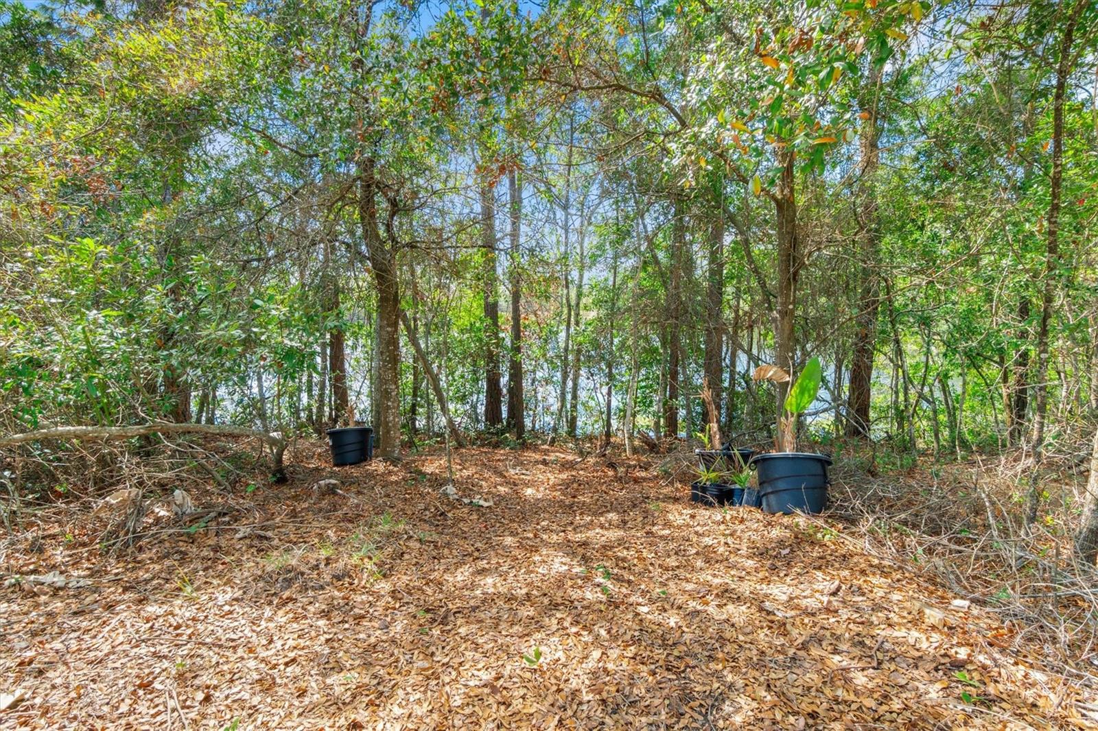 WHITEVIEW VILLAGE PH 1 - Residential