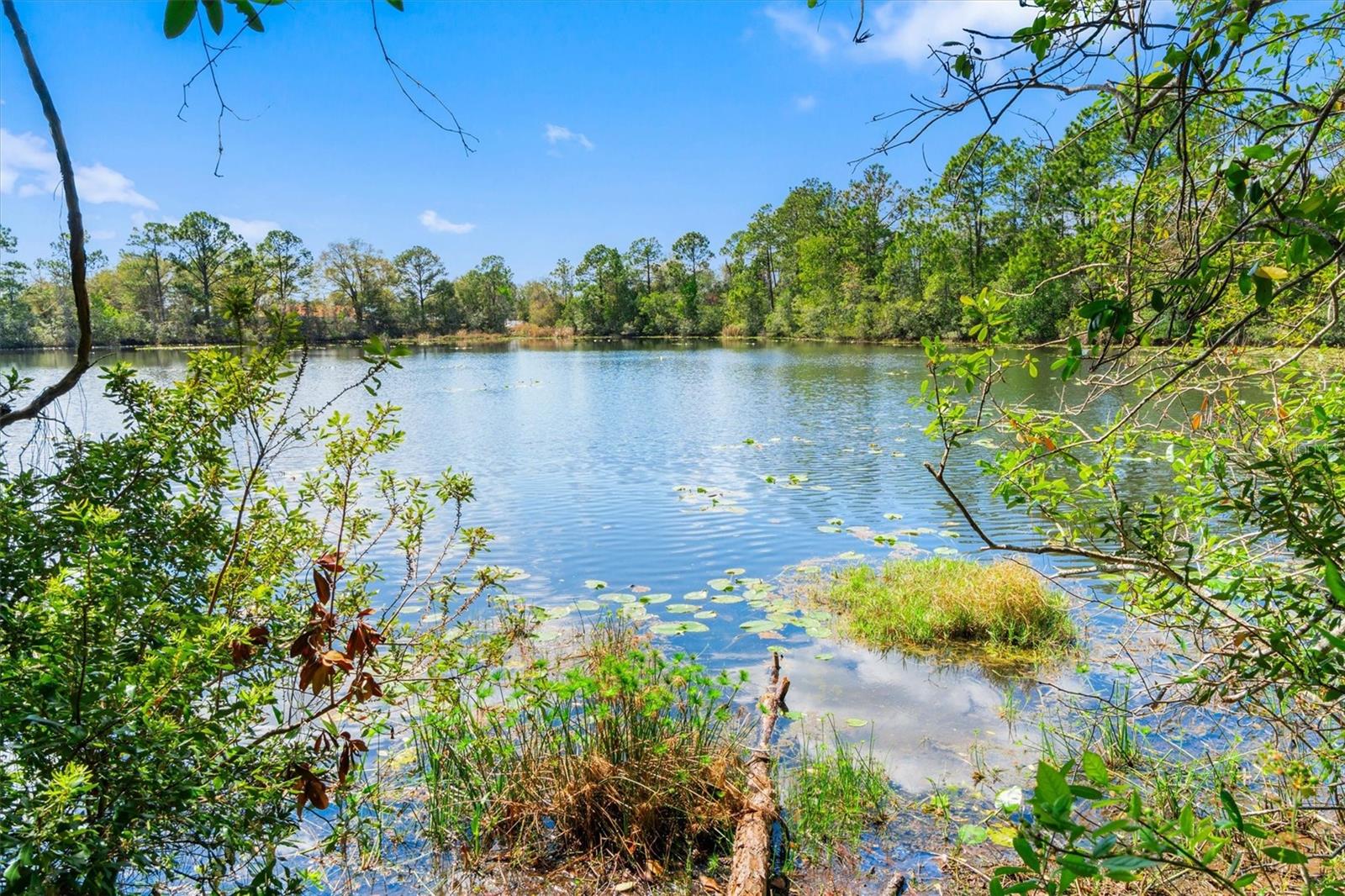 WHITEVIEW VILLAGE PH 1 - Residential