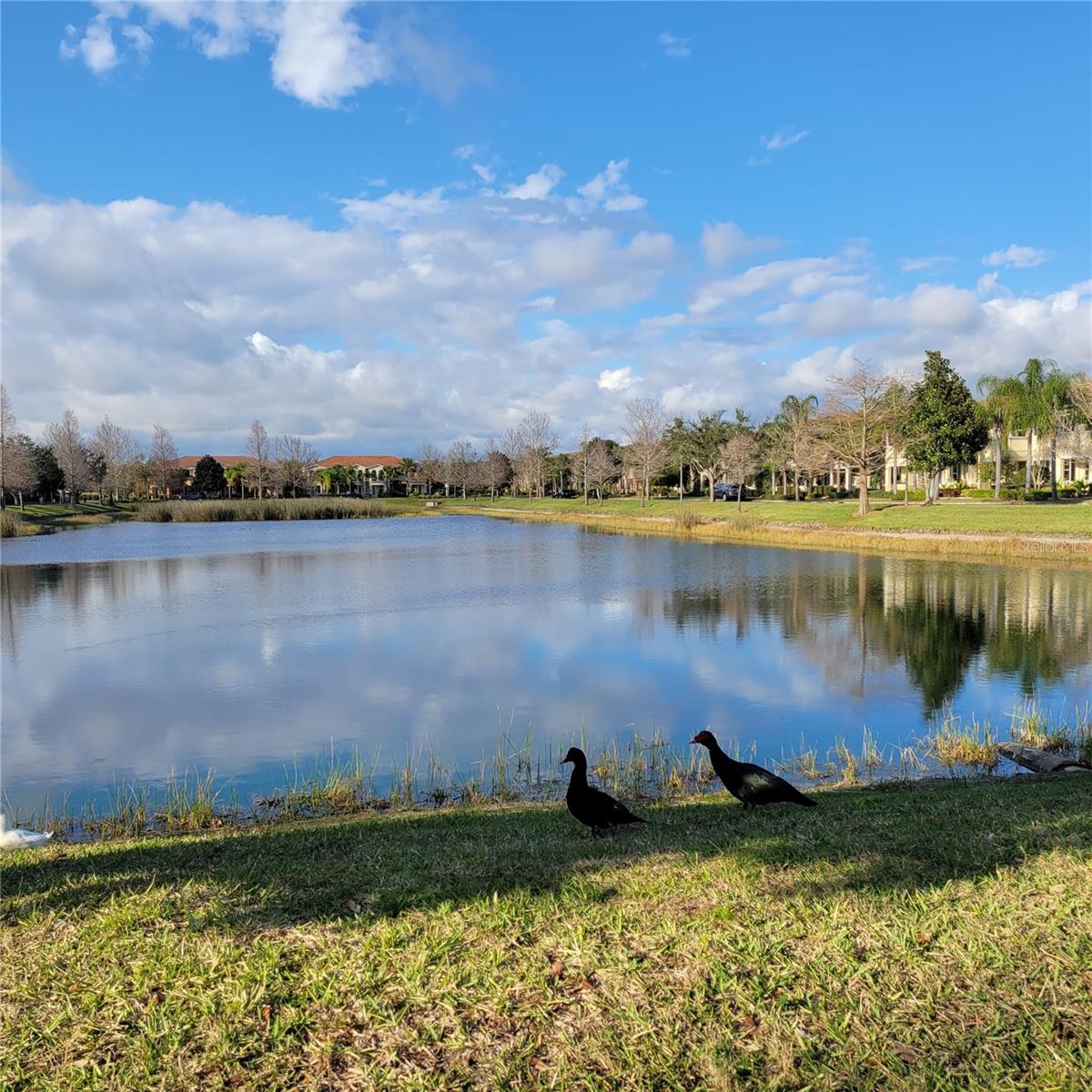 SAN MICHELE AT UNIVERSITY COMMONS - Residential Lease