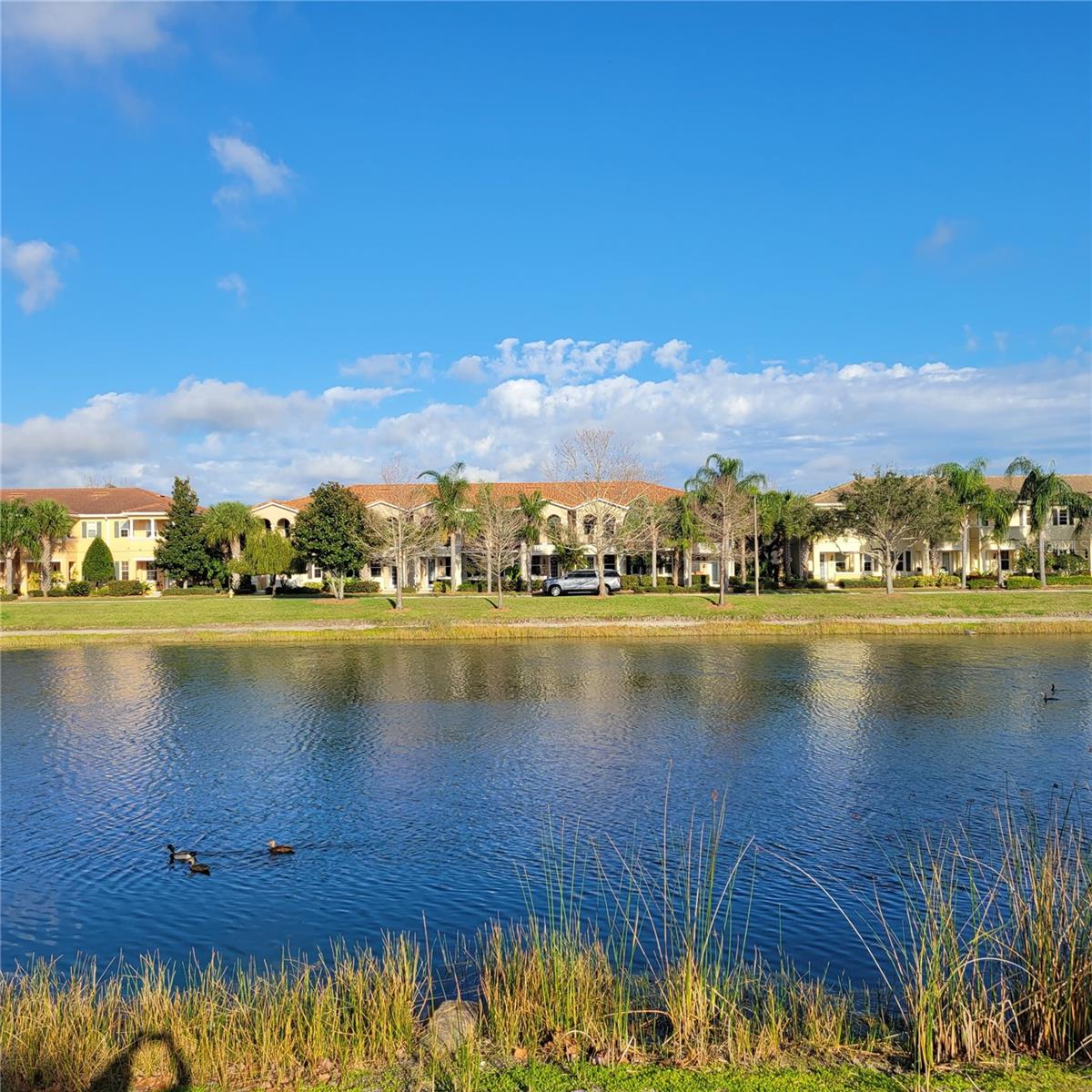 SAN MICHELE AT UNIVERSITY COMMONS - Residential Lease