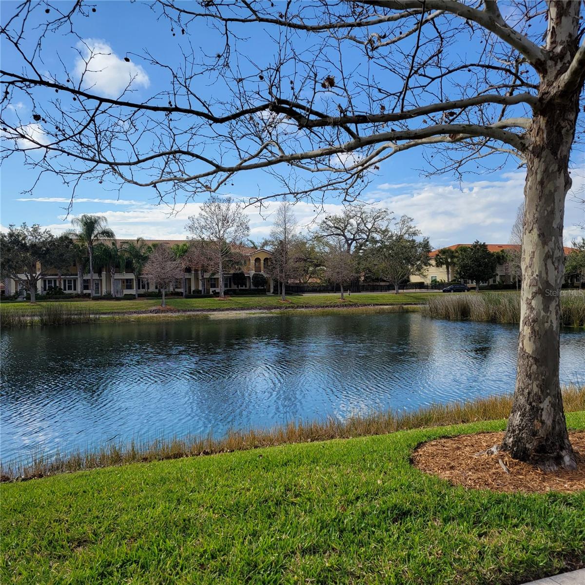 SAN MICHELE AT UNIVERSITY COMMONS - Residential Lease