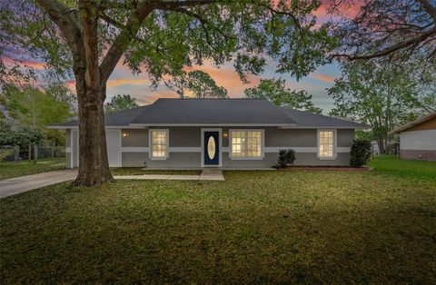 Photo of 9731 SW 32nd Court, Ocala, FL 34476 (MLS # OM721643)
