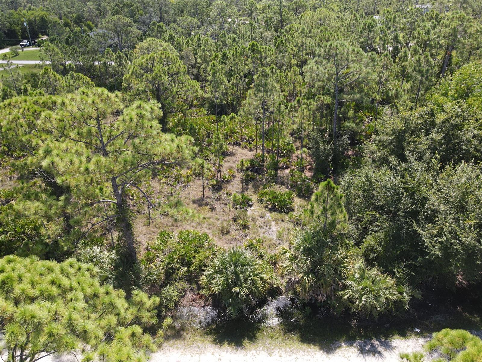 Great opportunity to secure your own piece of Tropical Gulf Acres! This desirable lot offers both privacy and convenience, tucked in a growing community with easy access to I-75, shopping, dining, and schools. With development on the rise, now is the ideal time to invest in this sought-after area. Don’t wait—schedule a visit today and see the potential for yourself!