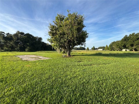 Photo of 2407 Coronet Road, Plant City, FL 33566 (MLS # TB8557195)