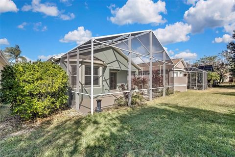 A home in LAND O LAKES