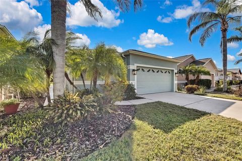 A home in LAND O LAKES