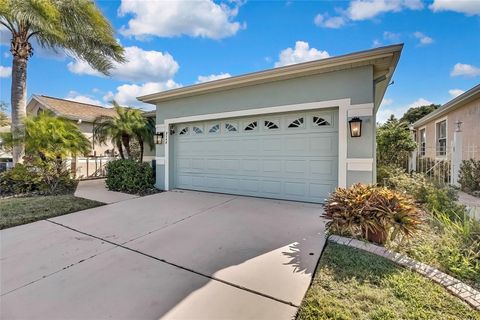 A home in LAND O LAKES