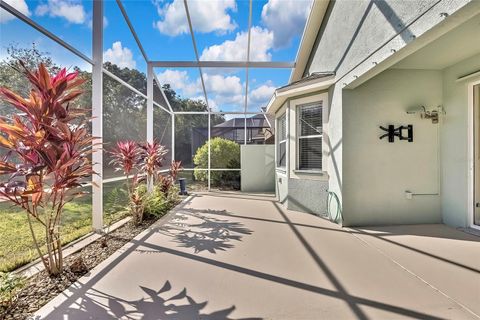 A home in LAND O LAKES