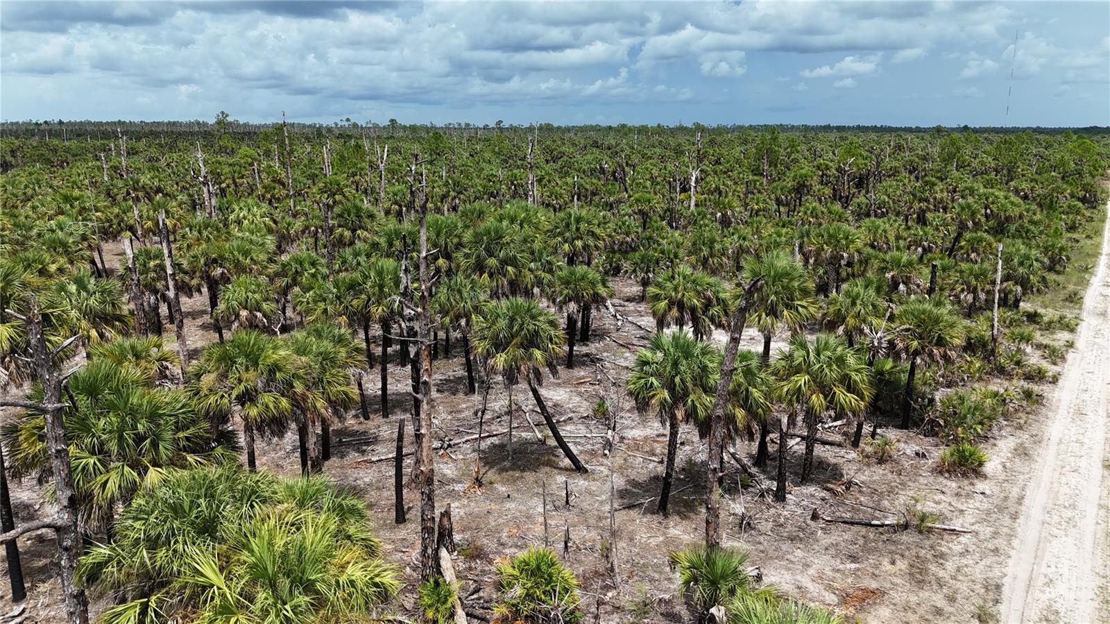 ACREAGE HEADER - Land