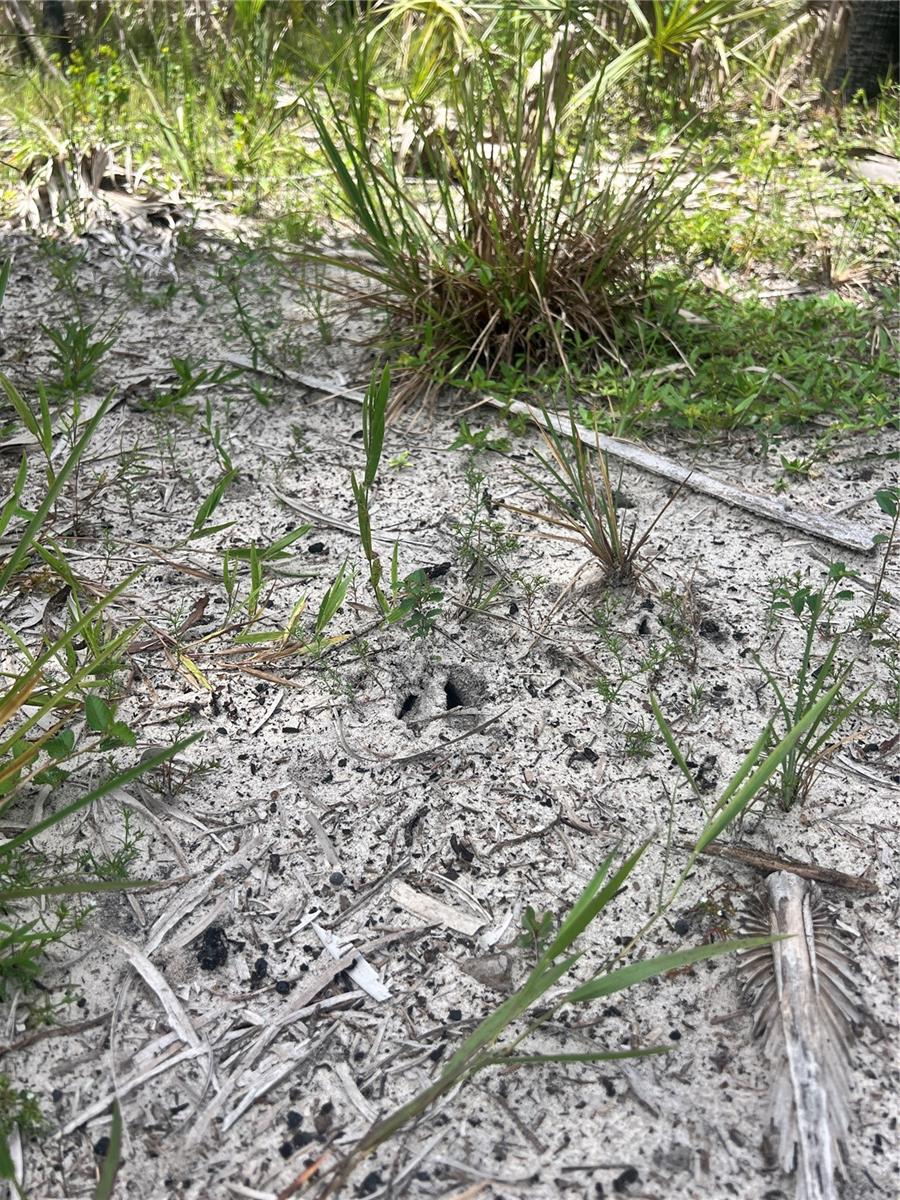 ACREAGE HEADER - Land