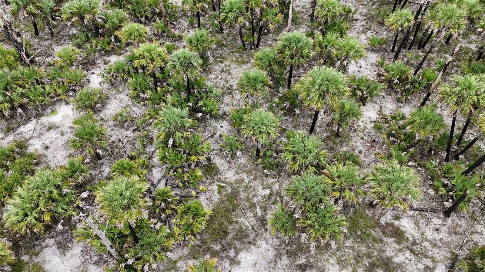 ACREAGE HEADER - Land