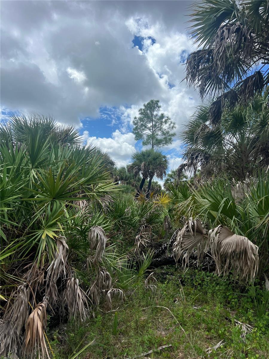 ACREAGE HEADER - Land