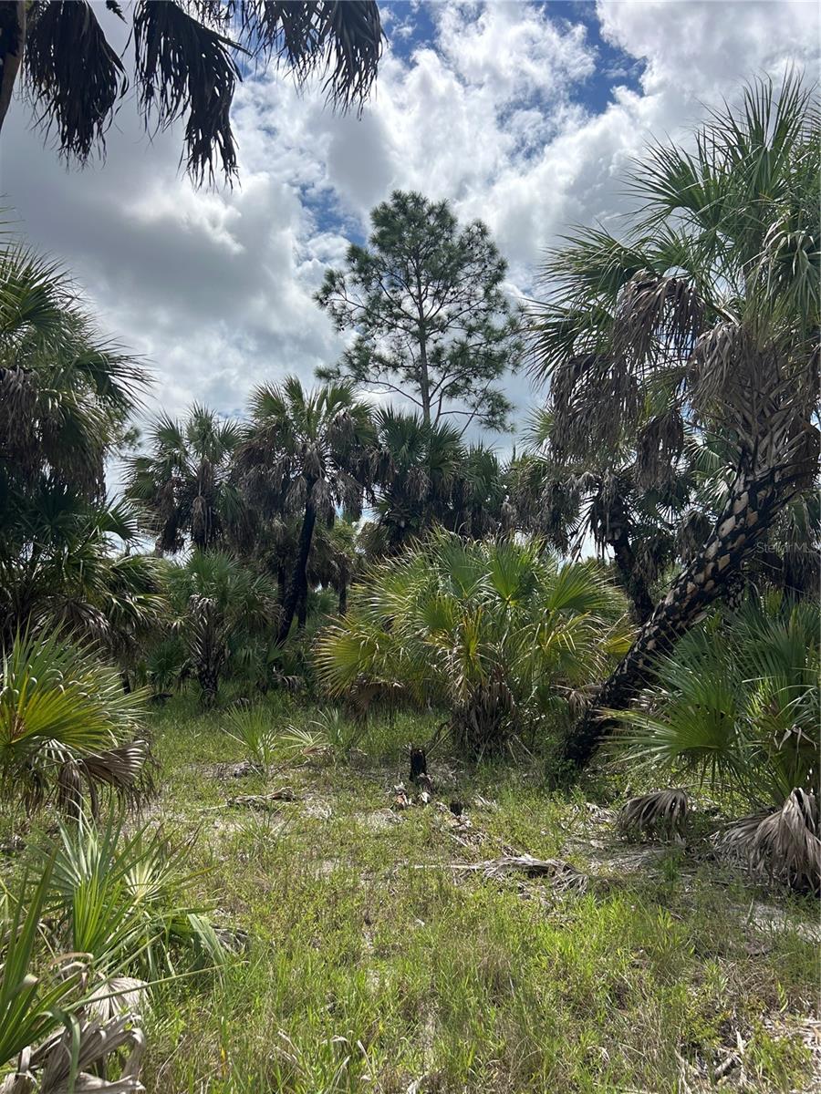 ACREAGE HEADER - Land