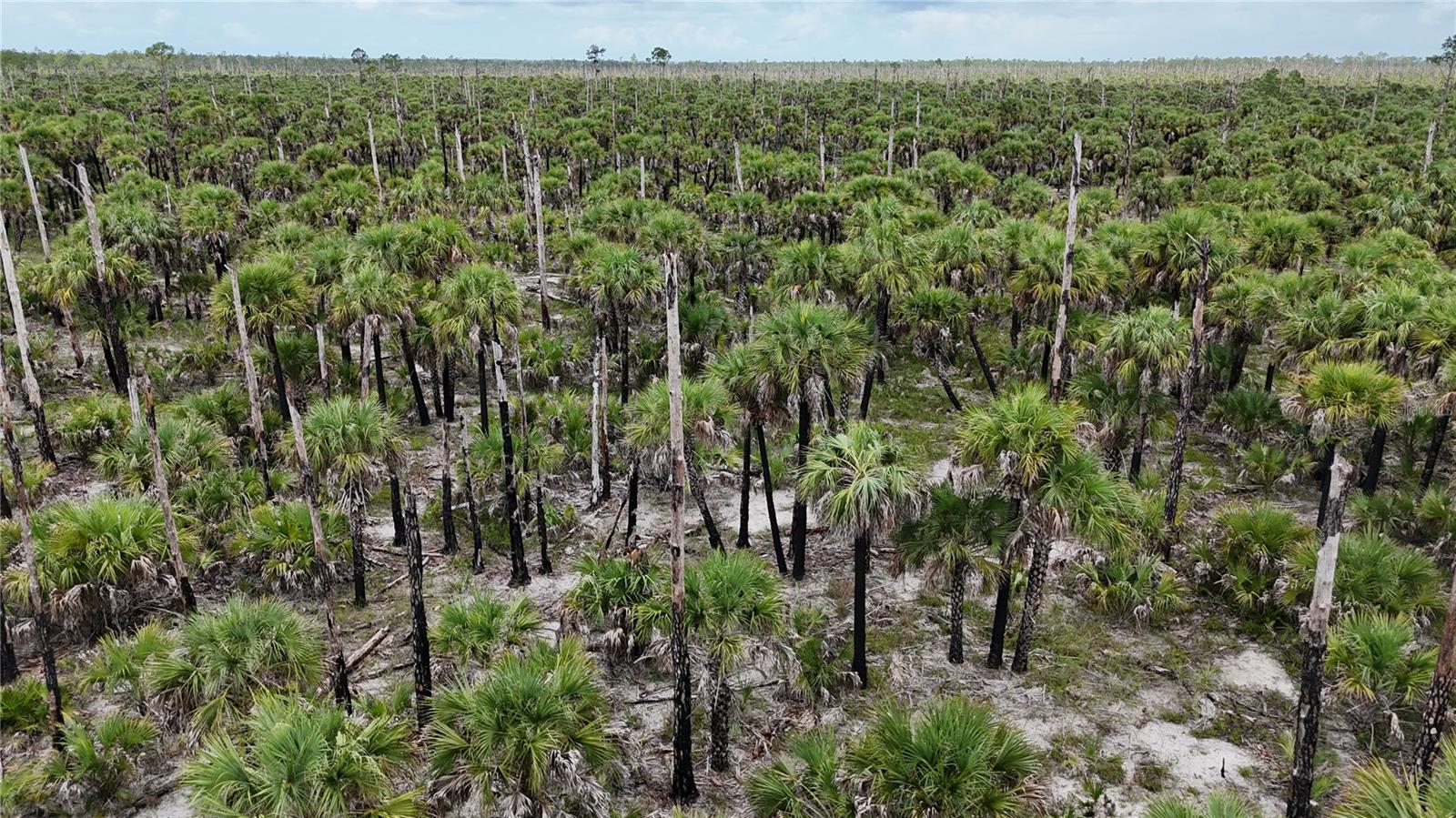 ACREAGE HEADER - Land