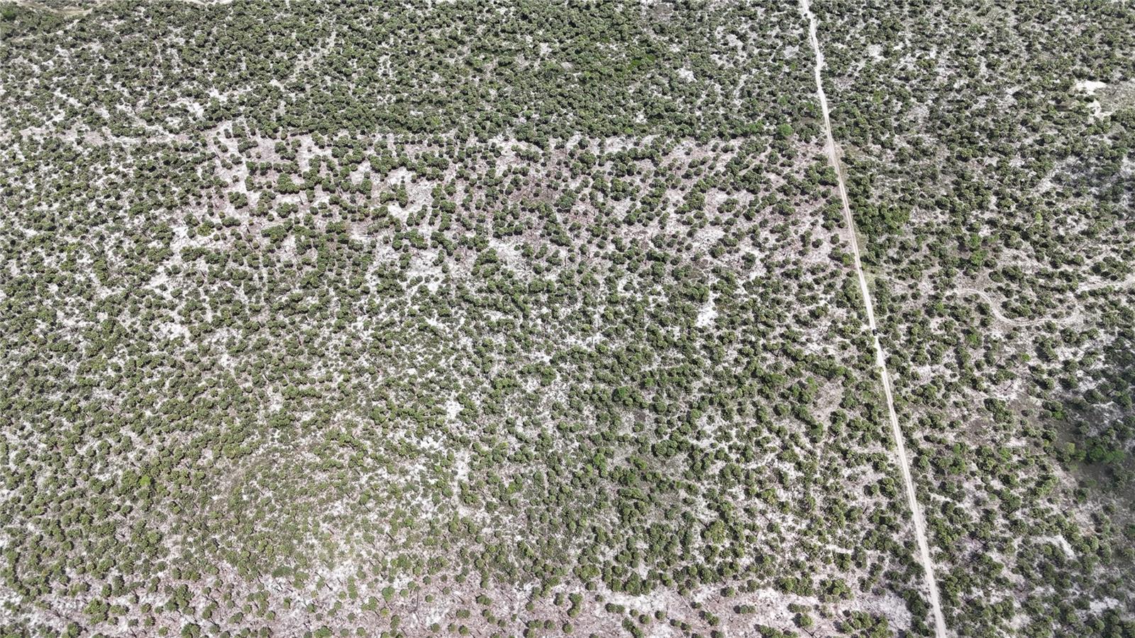 ACREAGE HEADER - Land