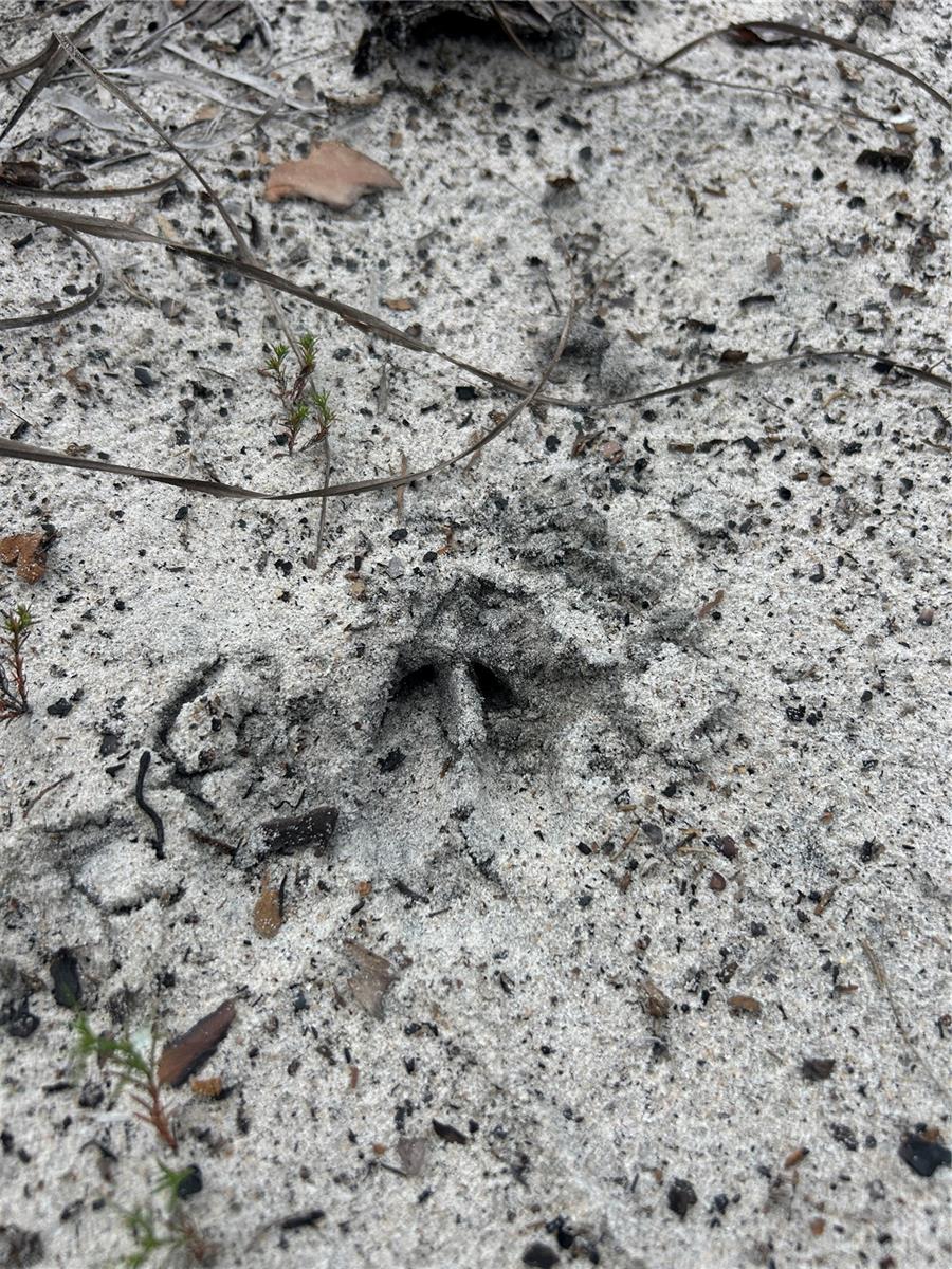 ACREAGE HEADER - Land