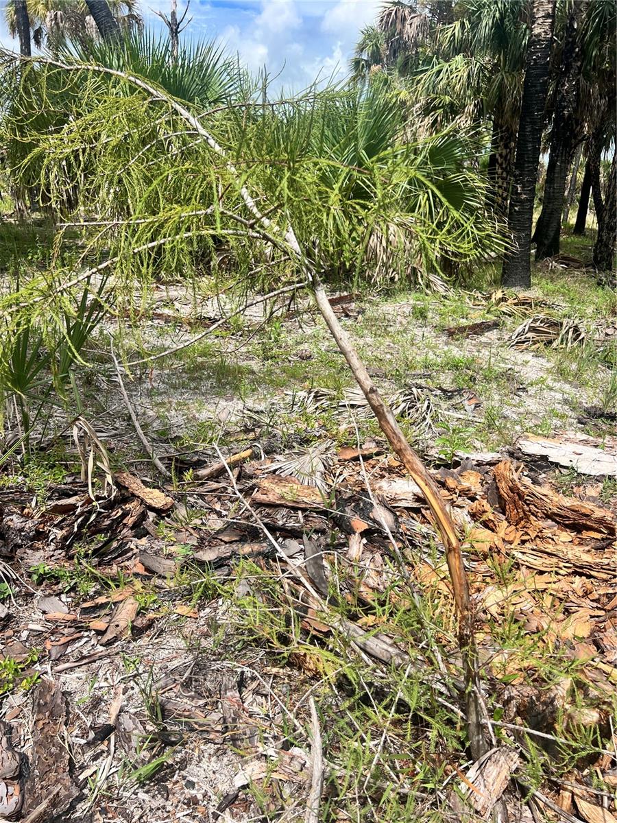 ACREAGE HEADER - Land