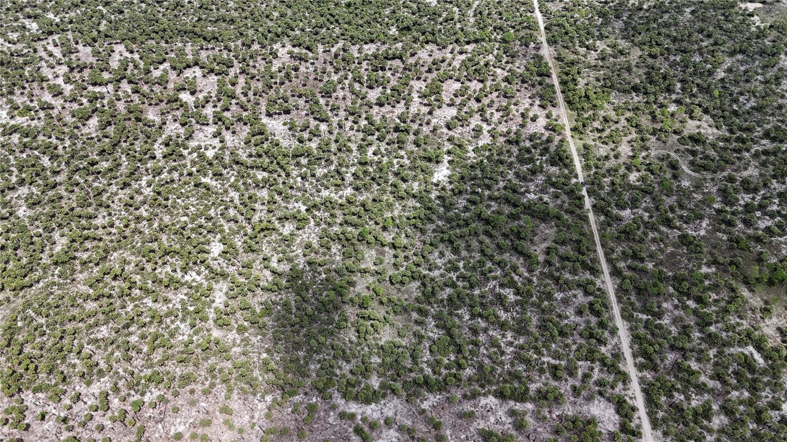 ACREAGE HEADER - Land