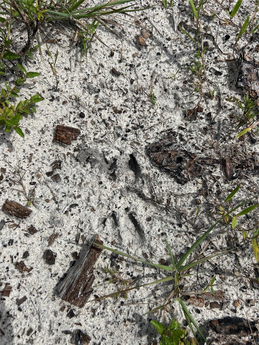 ACREAGE HEADER - Land