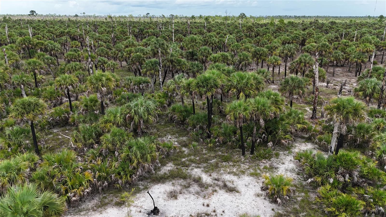 ACREAGE HEADER - Land