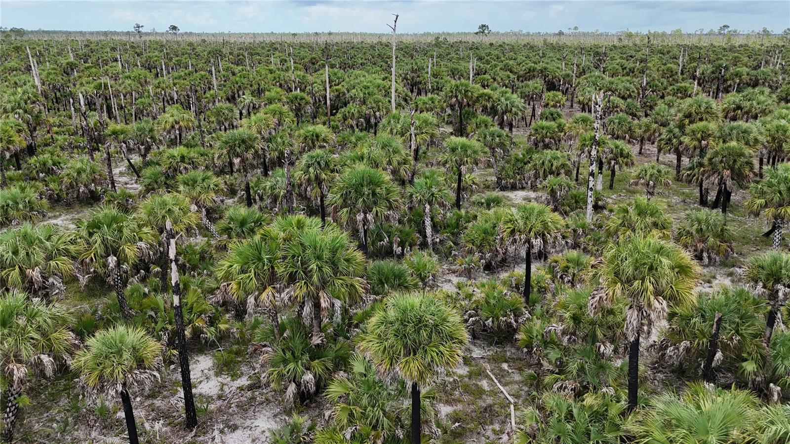 ACREAGE HEADER - Land