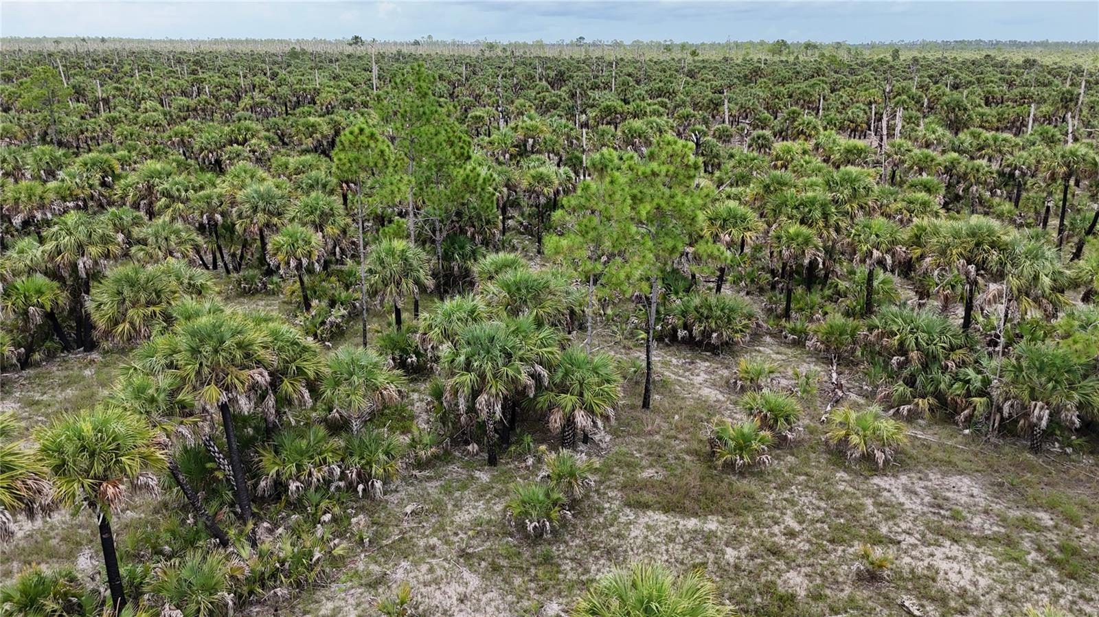 ACREAGE HEADER - Land