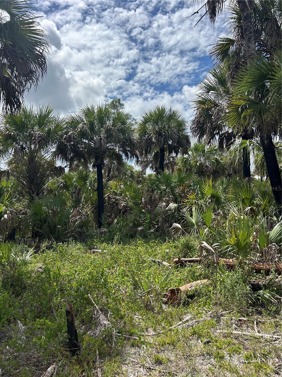 ACREAGE HEADER - Land