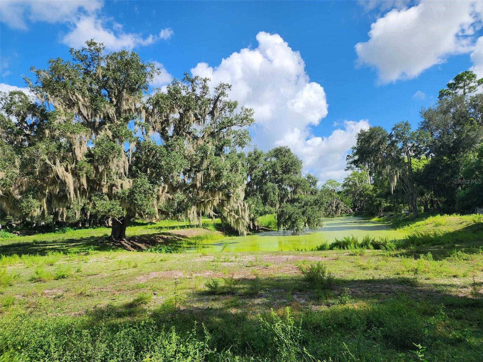 3102 THONOTOSASSA ROAD