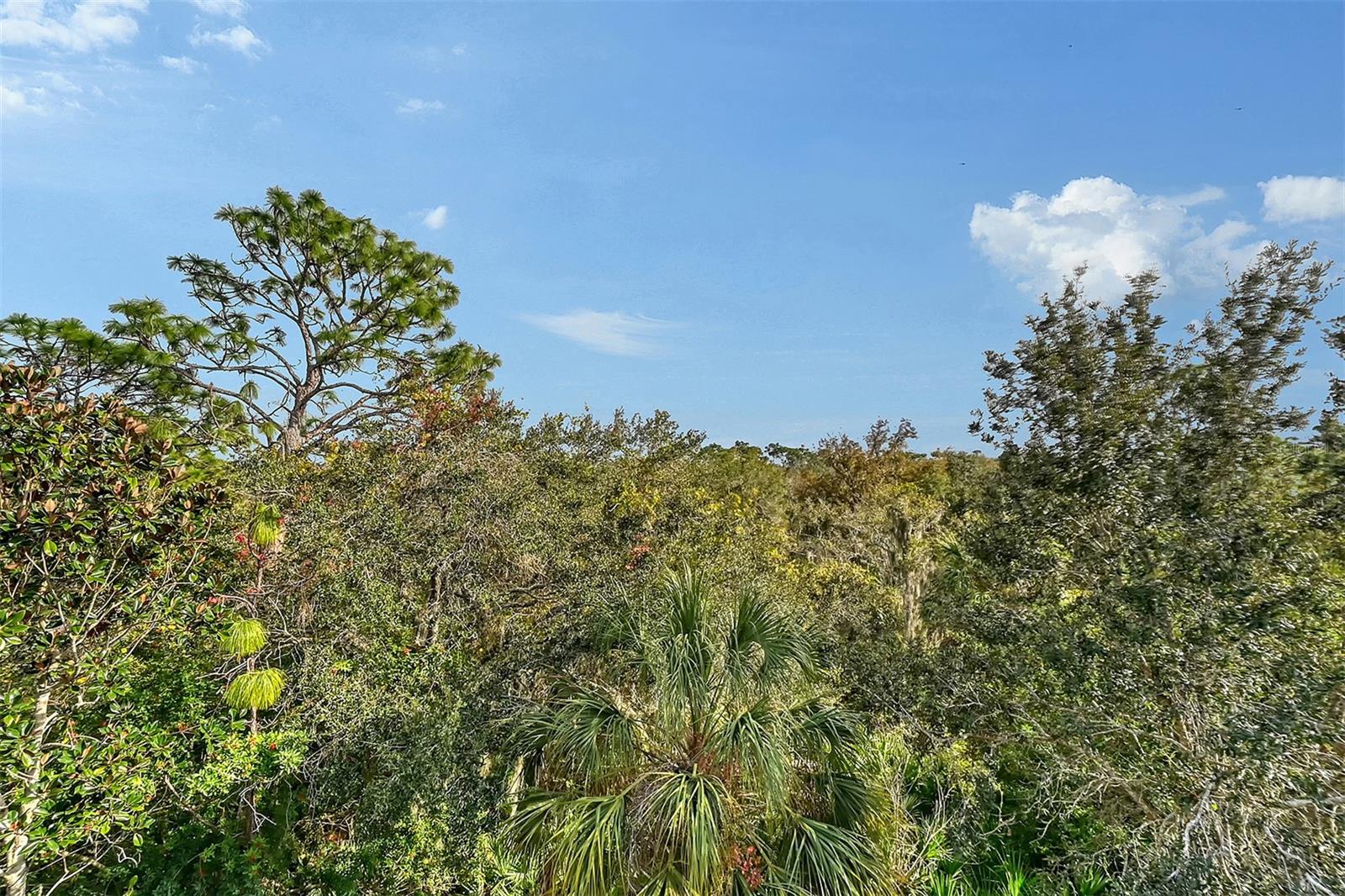 WILLOWBROOK PH 6 - Residential Lease