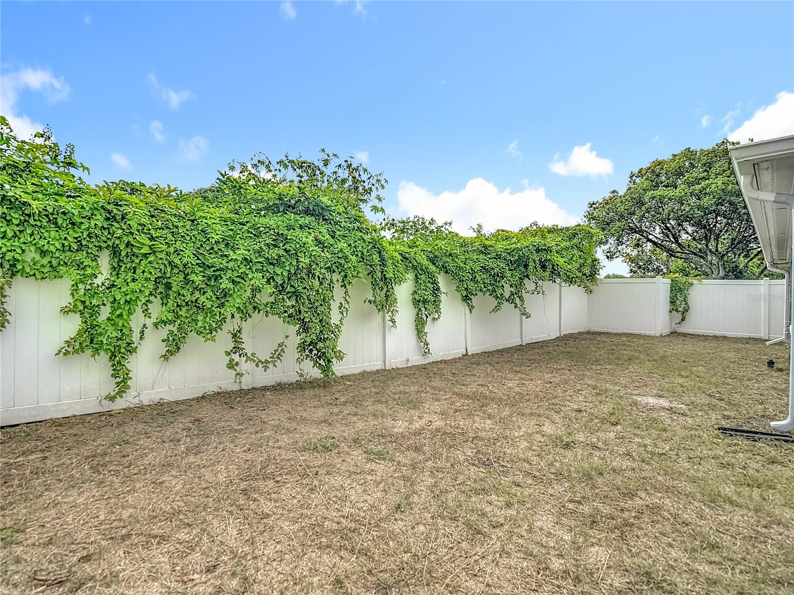 PALM TERRACE GARDENS - Residential