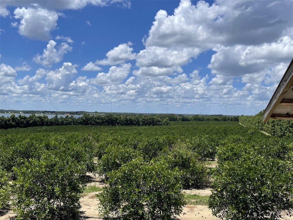 Photo of A T Race Road, Dundee, FL 33838 (MLS # L4964354)