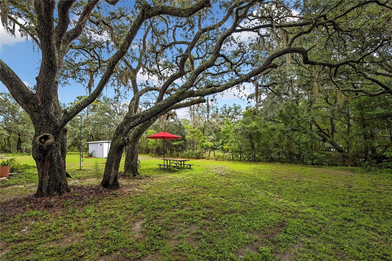 LECANTO HILLS - Residential