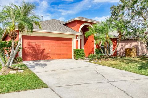 A home in WESLEY CHAPEL