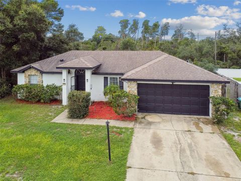 A home in DELTONA