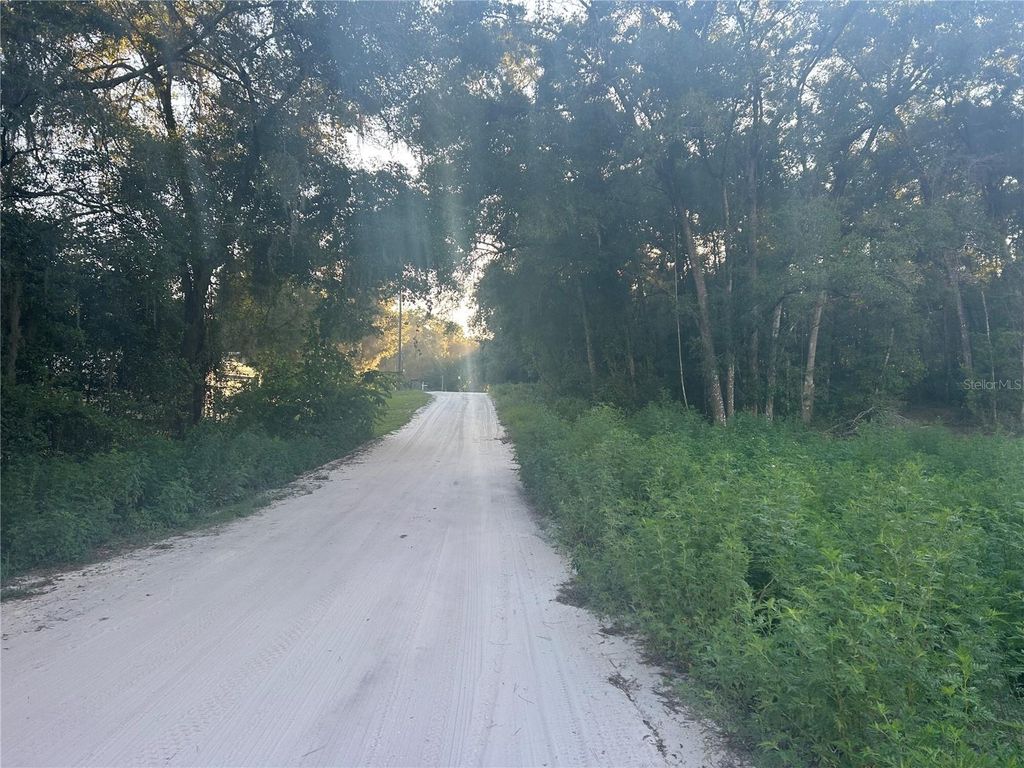 Photo of 00 SE 140th Place, Summerfield, FL 34491 (MLS # S5133166)