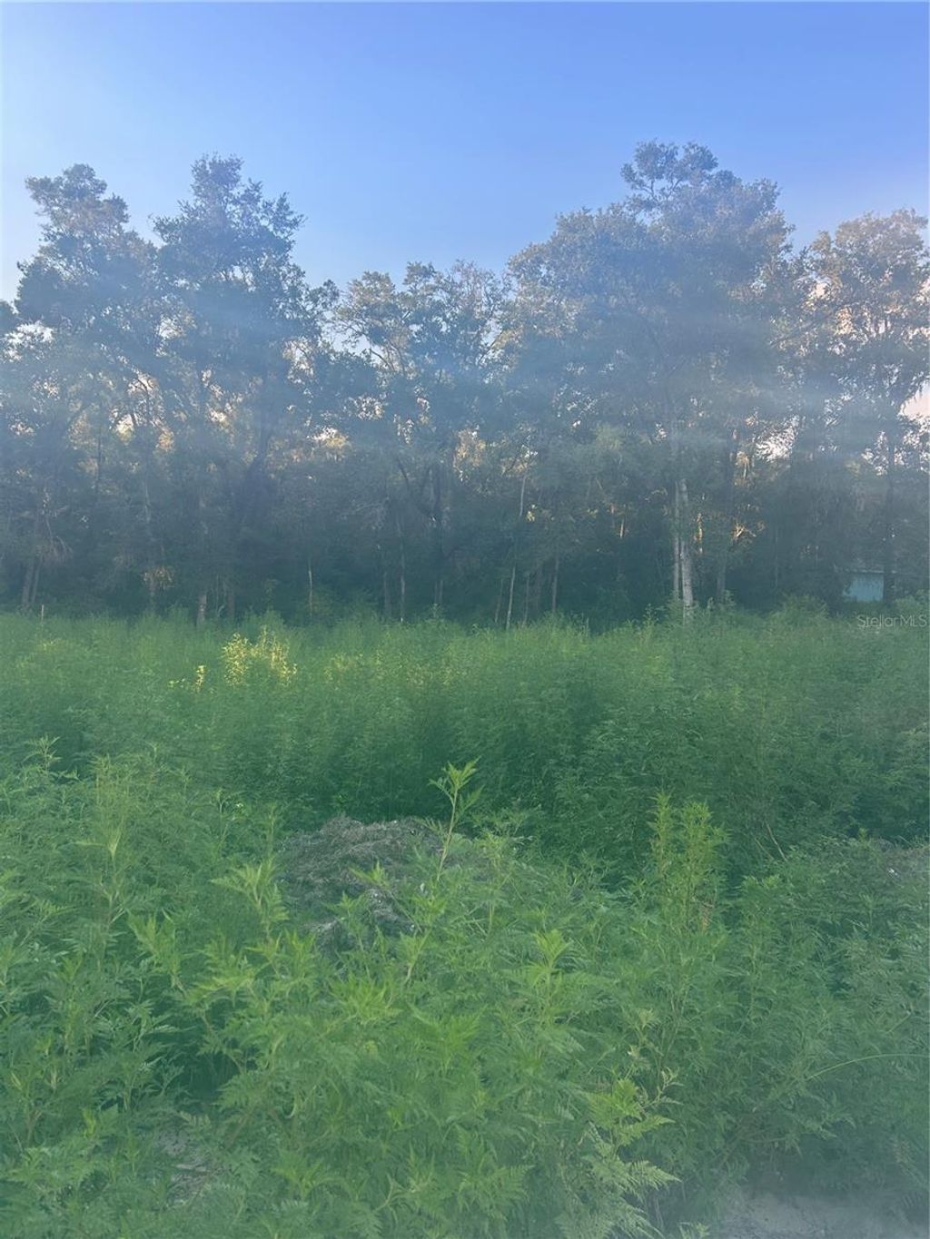 Photo of 00 SE 140th Place, Summerfield, FL 34491 (MLS # S5133166)