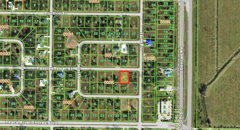 29473 PASSION FLOWER STREET PUNTA GORDA FL 33982