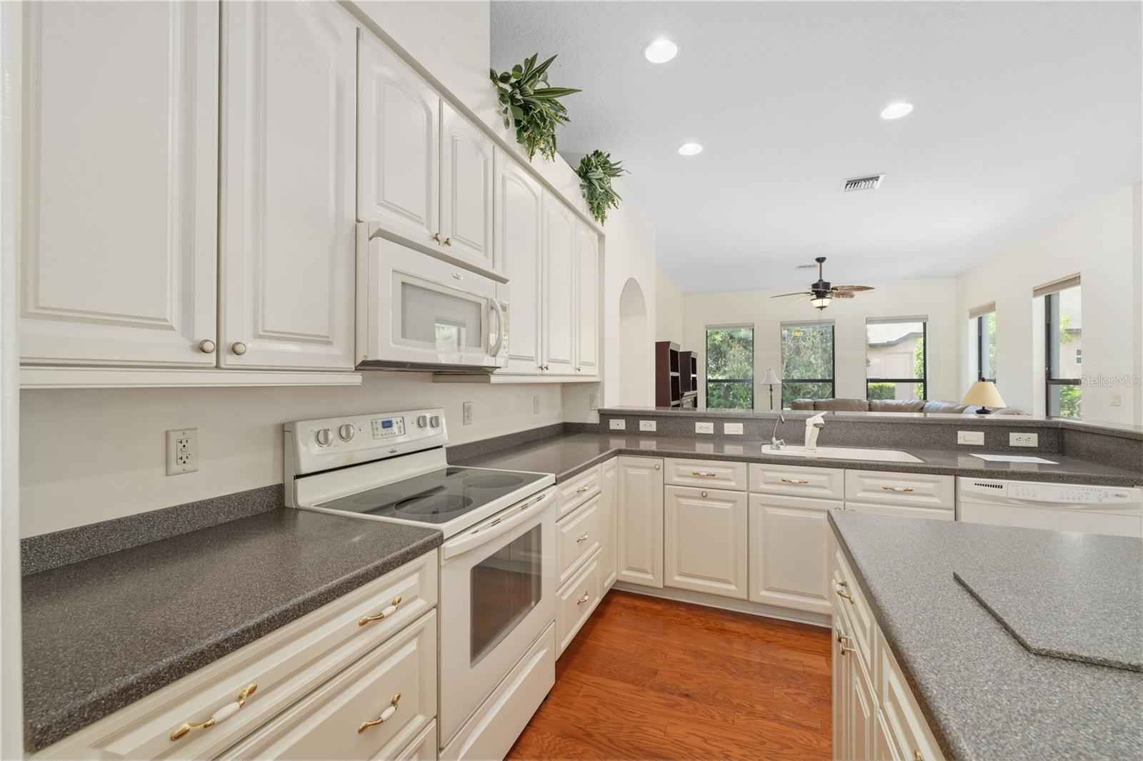 MOUNT DORA LAKES MOUNT DORA PH 01 - Residential