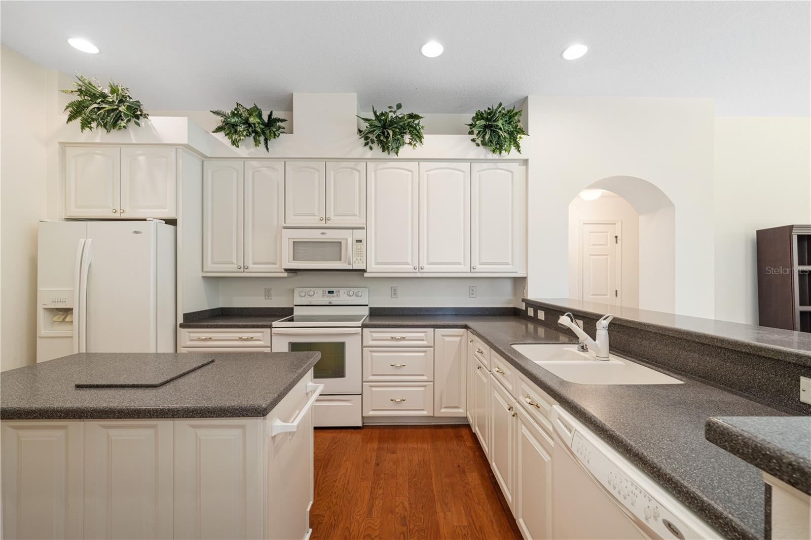 MOUNT DORA LAKES MOUNT DORA PH 01 - Residential
