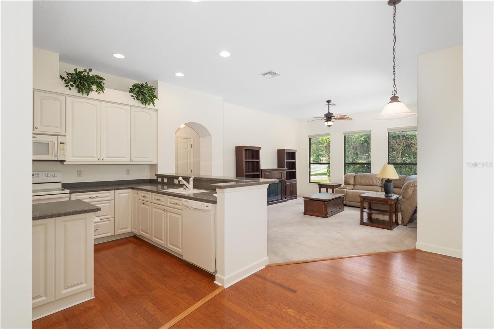 MOUNT DORA LAKES MOUNT DORA PH 01 - Residential