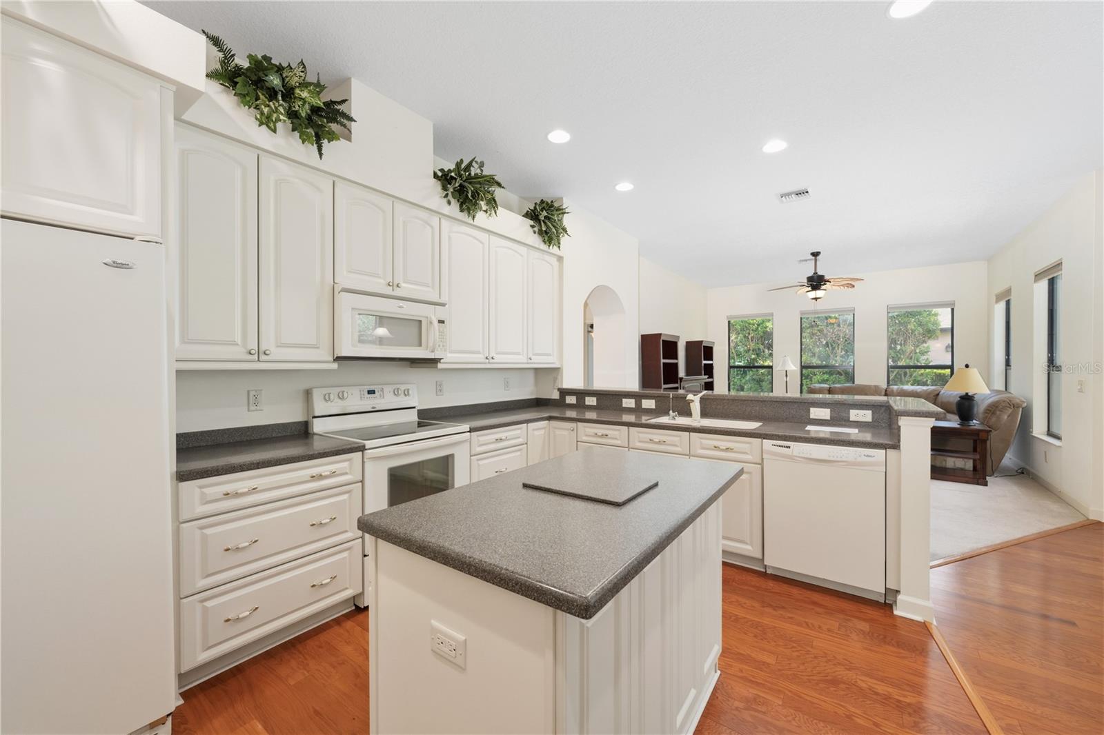 MOUNT DORA LAKES MOUNT DORA PH 01 - Residential