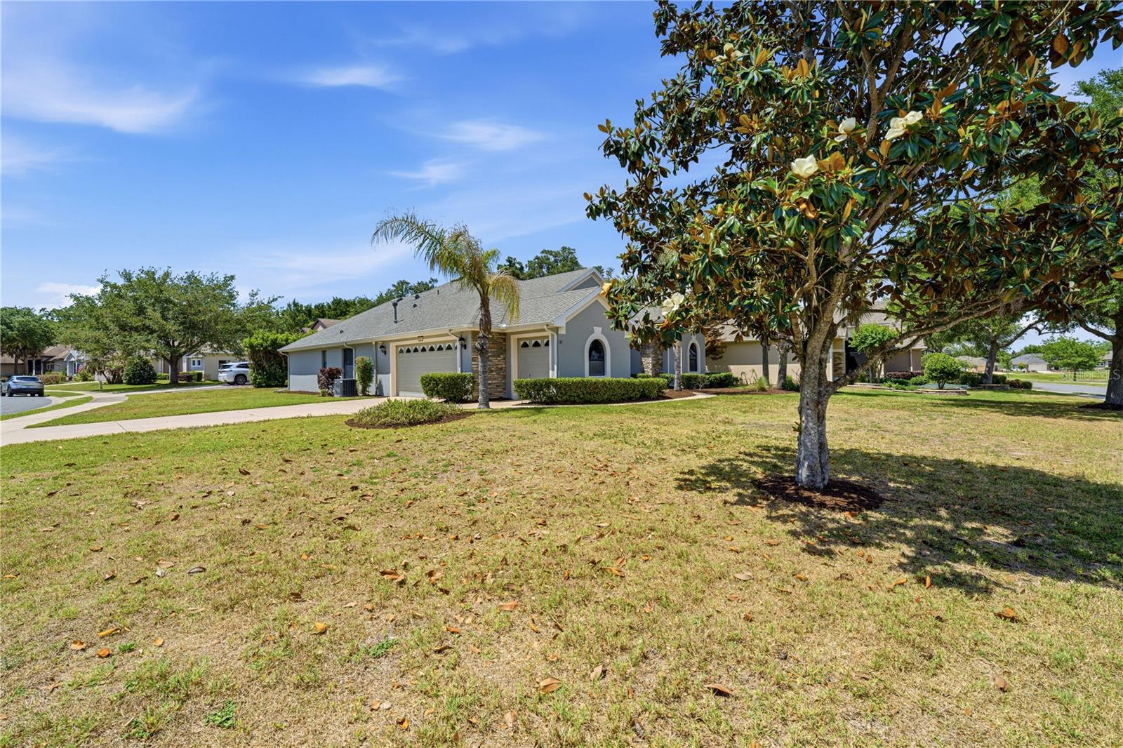 MOUNT DORA LAKES MOUNT DORA PH 01 - Residential
