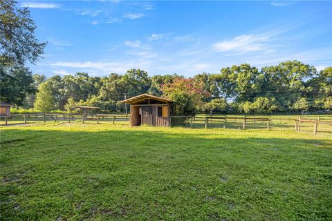 Tiny photo for 2275 SW 107th Place, Ocala, FL 34476 (MLS # OM700649)