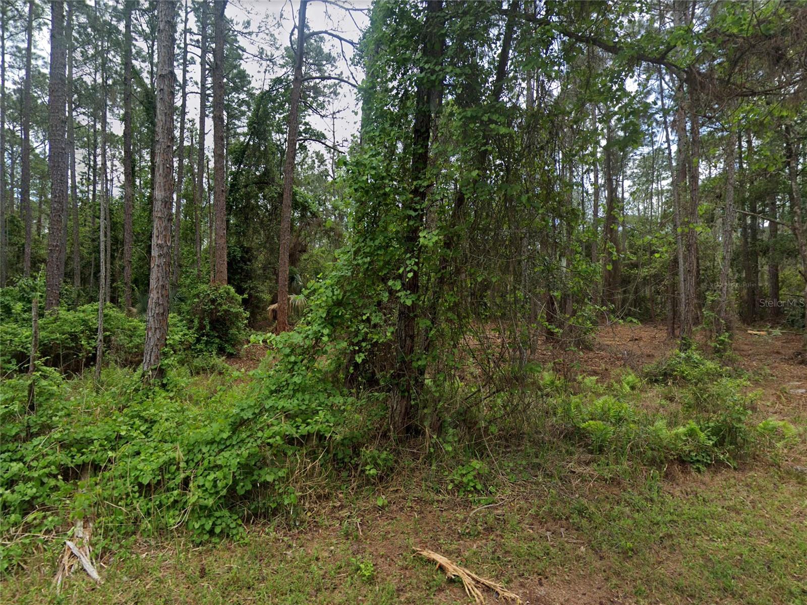 PARADISE LAKES SUB - Land