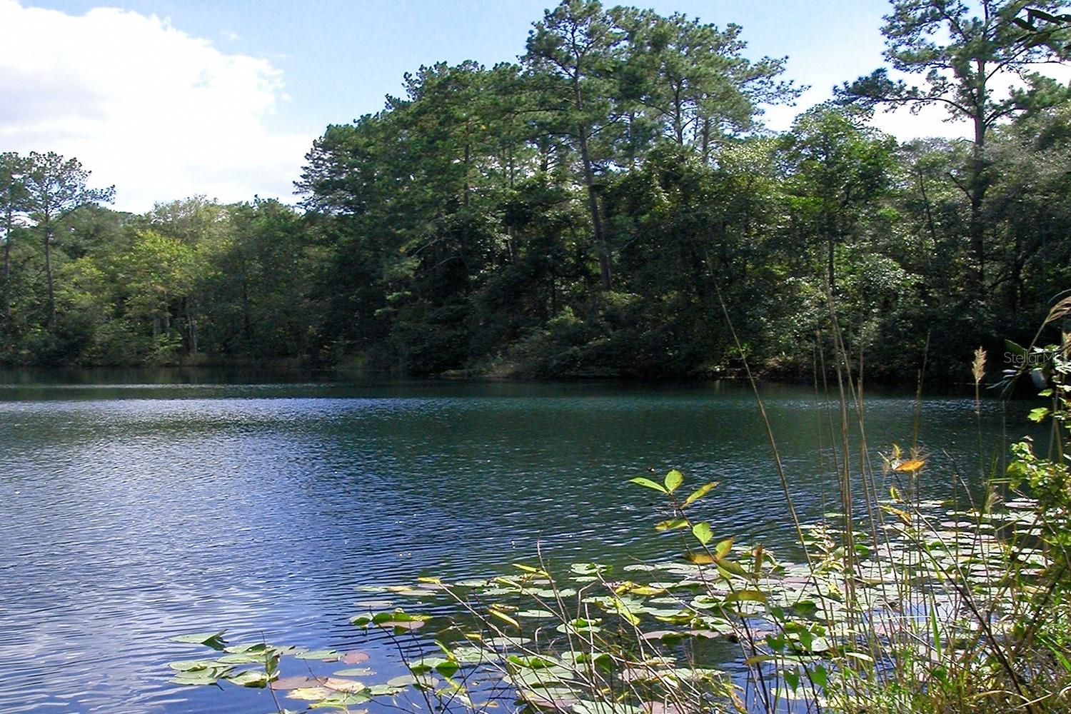 PARADISE LAKES SUB - Land