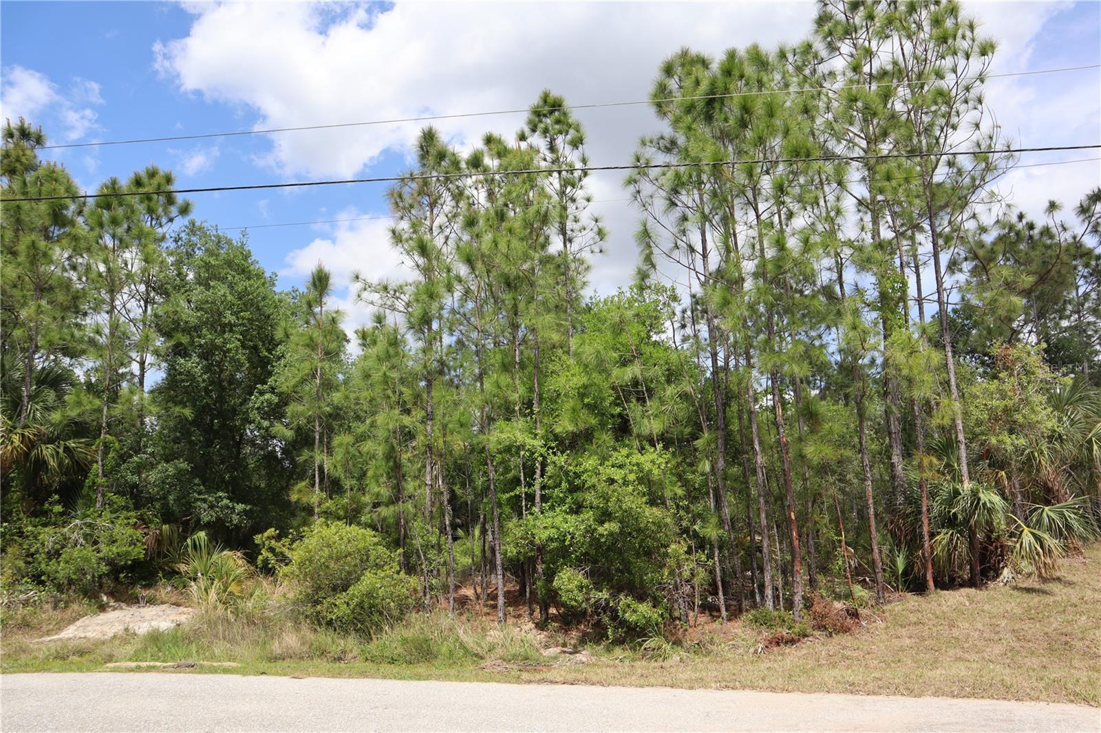 PORT CHARLOTTE SUB 27 - Land