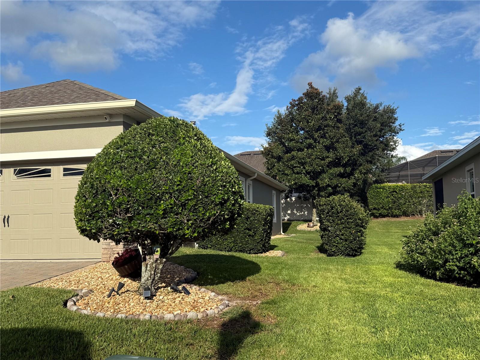 VINEYARD - Residential